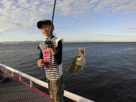 尼崎 市立 魚釣り 公園 ご利用案内 料金について 兵庫県尼崎市にある尼崎市立魚つり公園 Amp Petmd Com