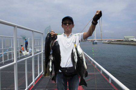 尼崎市立魚つり公園 釣果