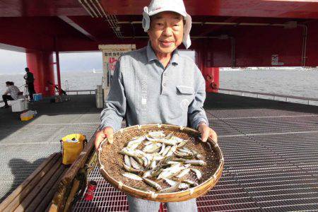 尼崎市立魚つり公園 釣果