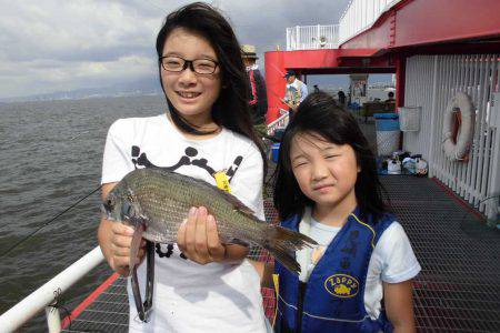 尼崎市立魚つり公園 釣果