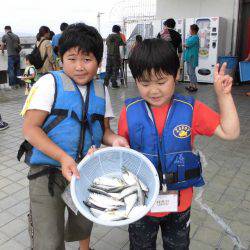 尼崎市立魚つり公園 釣果