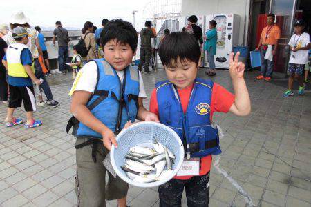 尼崎市立魚つり公園 釣果