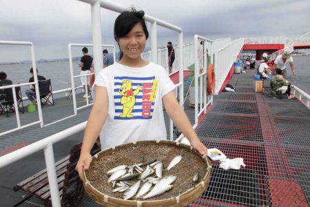 尼崎市立魚つり公園 釣果