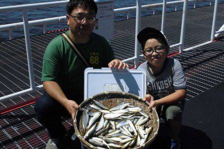 尼崎市立魚つり公園 釣果