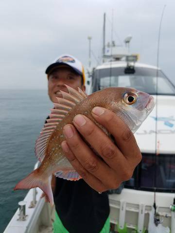 遊漁船　ニライカナイ 釣果