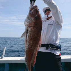 清和丸 釣果