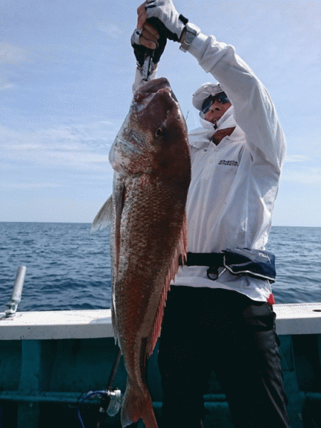 清和丸 釣果