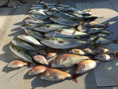 ミタチ丸 釣果