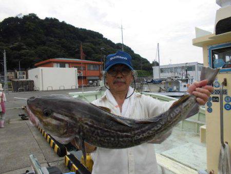 大進丸（新潟） 釣果