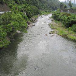 狩野川（狩野川漁業協同組合） 釣果