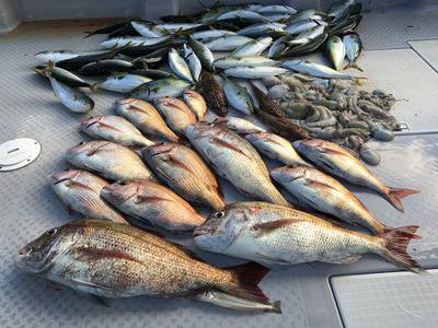 ミタチ丸 釣果