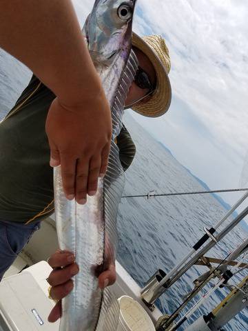 遊漁船　ニライカナイ 釣果