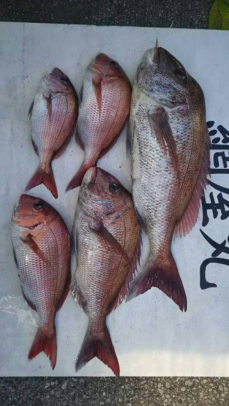 網屋丸 釣果