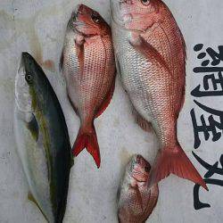 網屋丸 釣果