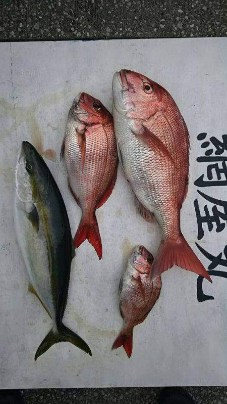 網屋丸 釣果