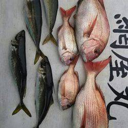 網屋丸 釣果