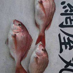 網屋丸 釣果