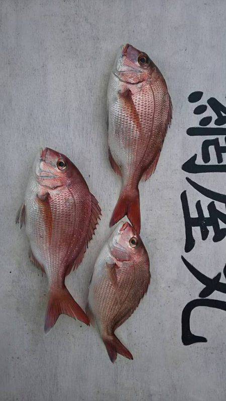 網屋丸 釣果