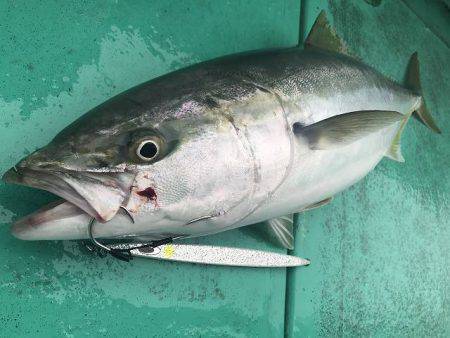 広進丸 釣果