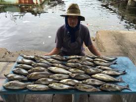 おざき丸 釣果