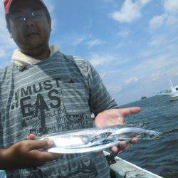 大進丸（愛知） 釣果