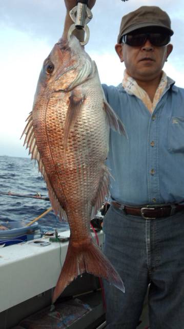 泰丸 釣果