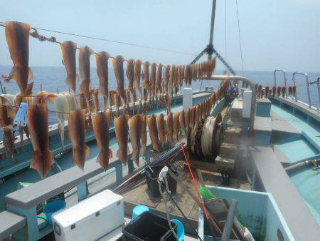 大進丸（愛知） 釣果