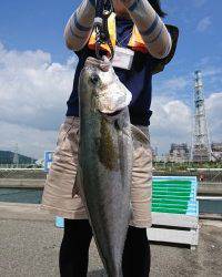 和歌山マリーナシティ釣り堀 釣果