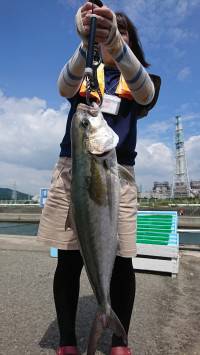 和歌山マリーナシティ釣り堀 釣果