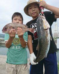 和歌山マリーナシティ釣り堀 釣果