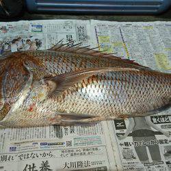 魁皇 釣果