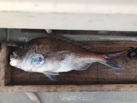 白墨丸 釣果