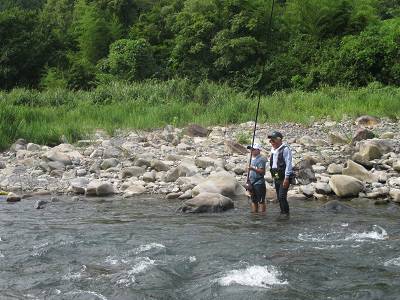 安倍川・藁科川（安倍藁科川漁業協同組合） 釣果