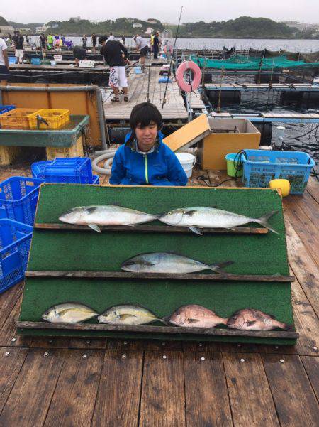 みうら海王 釣果