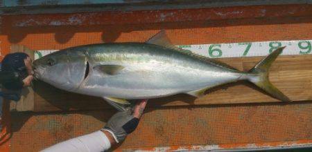 火遠理丸（ほおりまる） 釣果