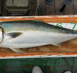 火遠理丸（ほおりまる） 釣果