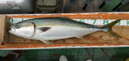 火遠理丸（ほおりまる） 釣果