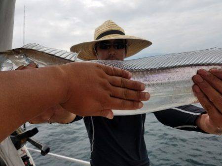 遊漁船　ニライカナイ 釣果