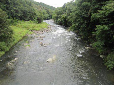 狩野川（狩野川漁業協同組合） 釣果