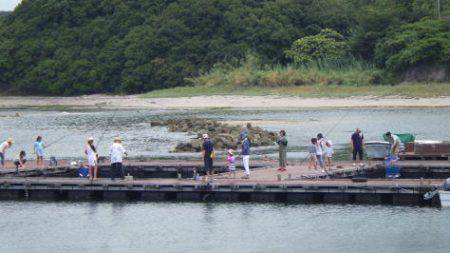 淡路じゃのひれフィッシングパーク 釣果