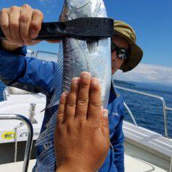 遊漁船　ニライカナイ 釣果