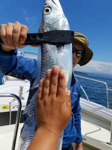 遊漁船　ニライカナイ 釣果