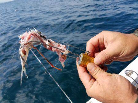 遊漁船　ニライカナイ 釣果