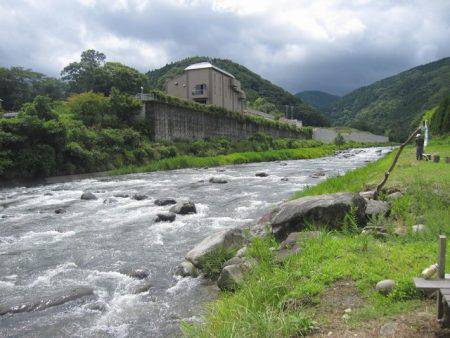 狩野川（狩野川漁業協同組合） 釣果