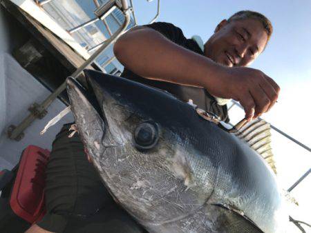 まると屋 釣果