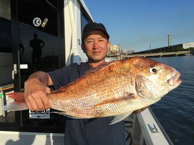 ミタチ丸 釣果