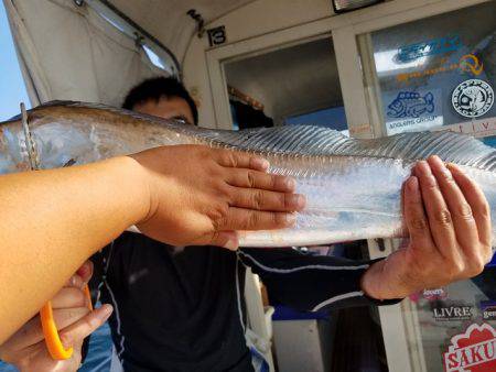 遊漁船　ニライカナイ 釣果