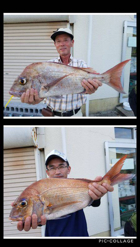 桑田観光 釣果