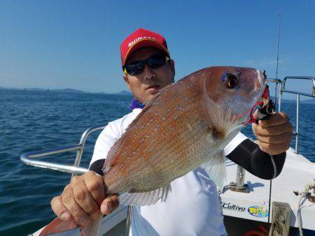 遊漁船　ニライカナイ 釣果