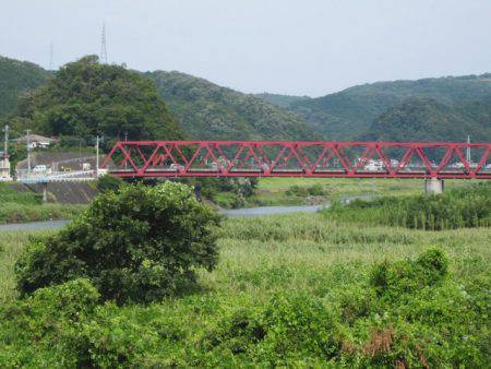 狩野川（狩野川漁業協同組合） 釣果